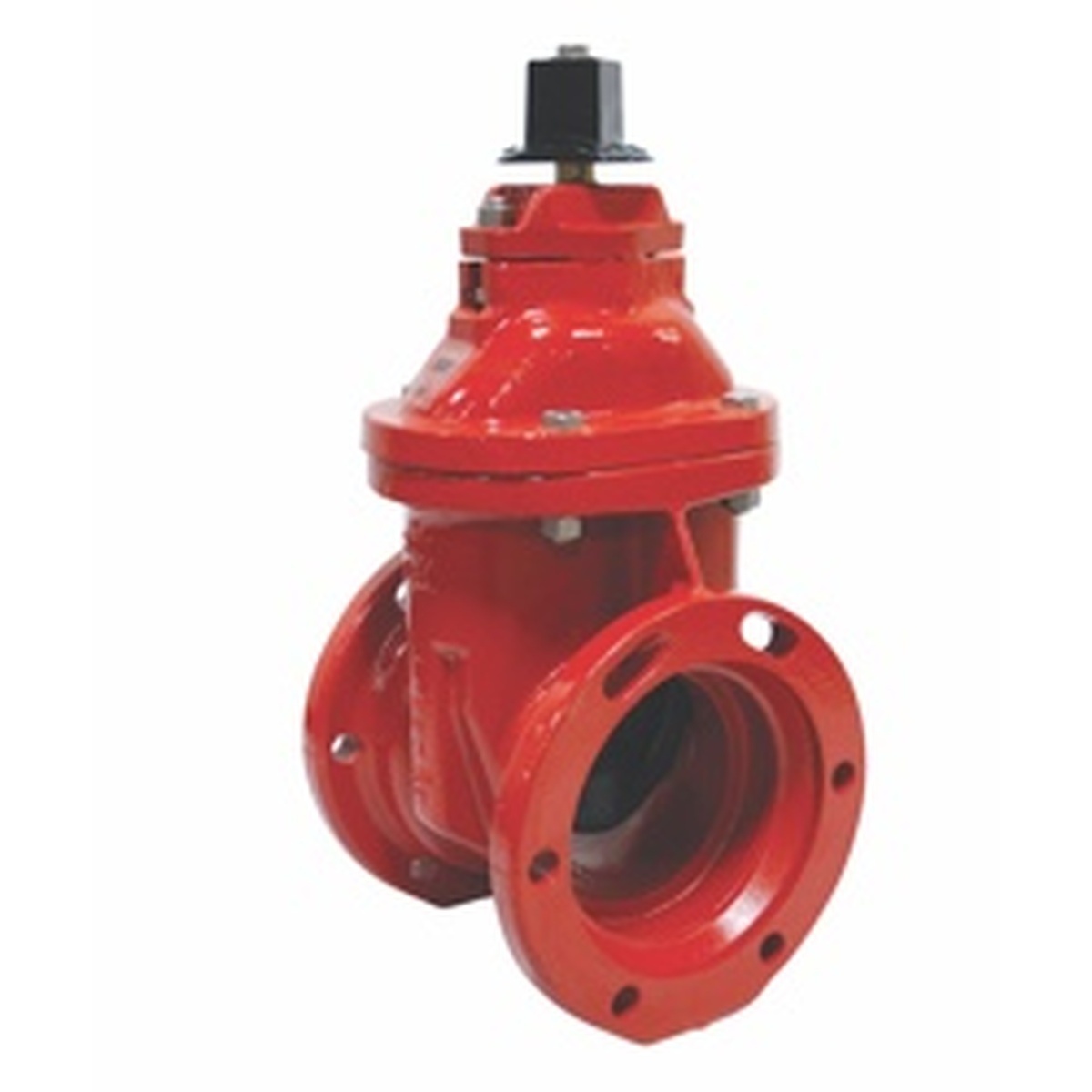 Resilient Wedge Gate Valve 4